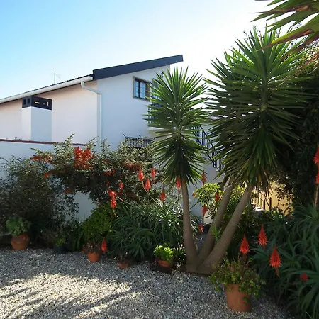 Casa Vasco - Cosy Patio